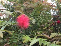 -南通洲际绿博园