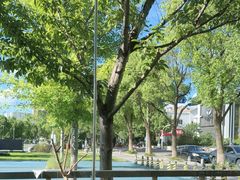 -爱樂咖啡(青年体育公园店)
