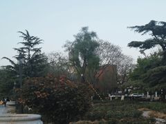 -睦南公园