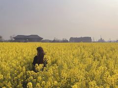 -中国天府农业博览园