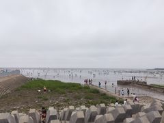 -奉贤海滩