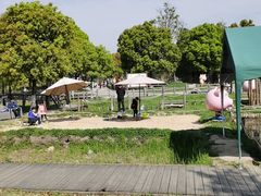 -田园东方蜜桃村的田野营地