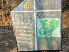 -白水寺森林公园