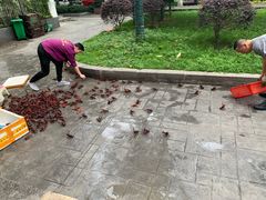 -辣不怕口味虾(凌霄路店)