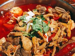 筋头巴脑经典锅-刘一锅筋头巴脑(小北店)