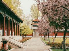 -禹城市禹王亭博物馆