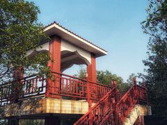 -火炉山森林公园