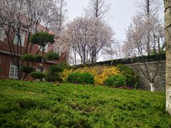 -烟台山景区