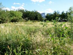 -长春公园(普阳街道)