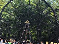 -北京呀路古热带植物园