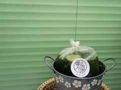 -曼僖瓦罐咖啡(华山南路店)