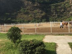 -枫露马术学院(藏书校区)