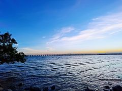 -宝安西湾红树林湿地公园