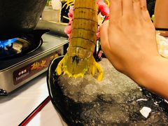 -鲜入围煮花胶鸡海鲜火锅