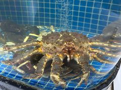 -舟山海鲜·江浙菜(银沙路店)