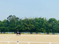 -重庆和泰马术俱乐部