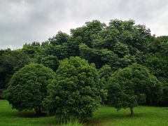 -长广溪湿地公园