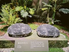 -遇见博物馆(遇见海洋沉浸式奇幻光影展)