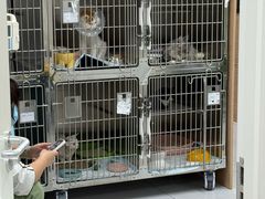 -达爱动物医院·犬猫分区·CT·复杂眼科(远洋山水分院)