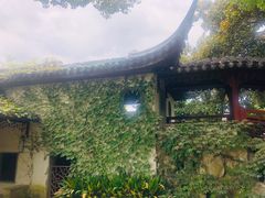 -雨花胜境