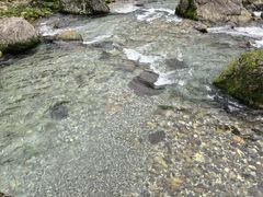 -老七钵钵鸡