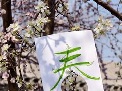 -春风习习