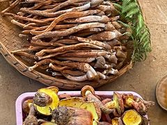 -云南木水花野生菌交易中心