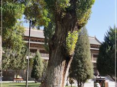 -张掖大佛寺景区