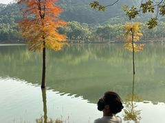 -凤岗南门山森林公园