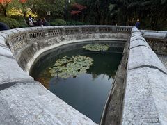-习家池