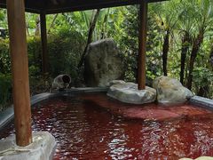 -水底山庄园温泉