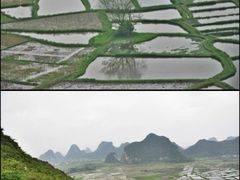 -会仙湿地