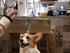 -Oasis coffee燕谷咖啡(公信店)