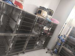 -瑞派福兴宠物医院犬猫全科·骨科·中西医结合(河东店)