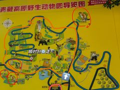 -青藏高原野生动物园