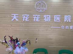 -天宠宠物医院24小时·急重症诊疗中心·全科·腔镜特色(和平分院)