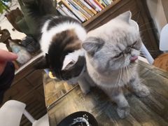-小时光咖啡馆(北锣鼓巷店)