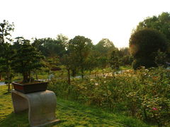 -沙市市中山公园