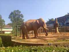 -昆明动物园