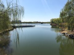 -大兴滨河森林公园