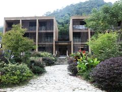 -看见远方·莫干遥远的山民宿