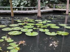 -广州兰圃