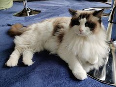 -零纪元VR体验馆·桌游(黄浦店)