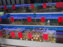 -金海湾海鲜排档(朱家尖店)