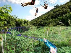 -海南槟榔谷黎苗文化旅游区