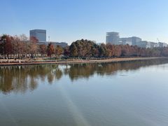 -春花秋色城市公园