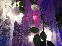 -杭州西湖星空魔幻城(星空艺术馆品牌旗舰店)