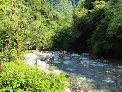 -西岭雪山大飞水景区