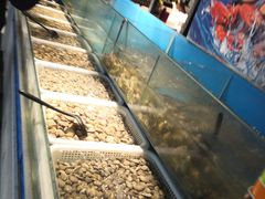 -深海800米海鲜自助(万达广场店)