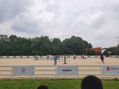 -重庆和泰马术俱乐部